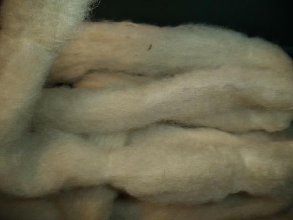 White Washed Jacob's Cross Wool Roving 4 oz bags picture