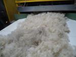 White Washed Jacob's Cross Wool Roving 4 oz bags