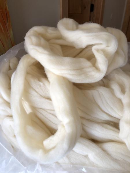 Merino wool roving (top) picture