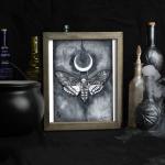 Death Moth Crescent Moon