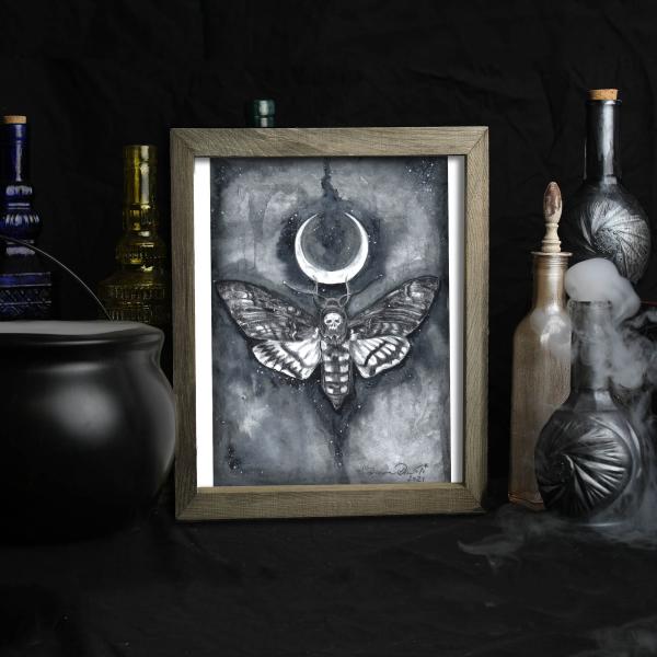 Death Moth Crescent Moon picture