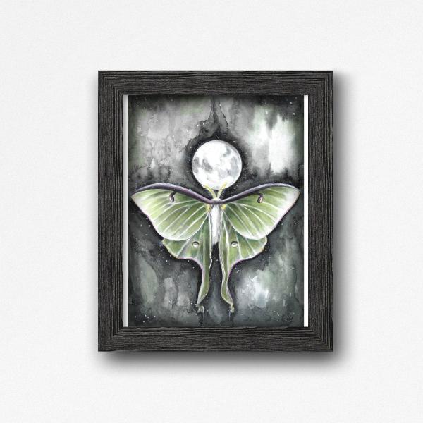 Luna Moth Full Moon picture