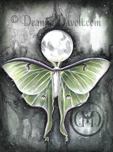 Luna Moth Full Moon picture