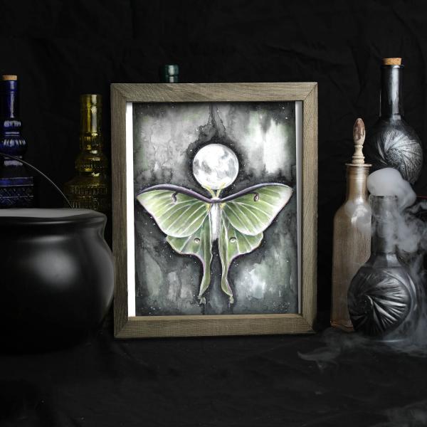 Luna Moth Full Moon picture