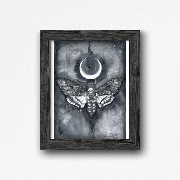 Death Moth Crescent Moon picture