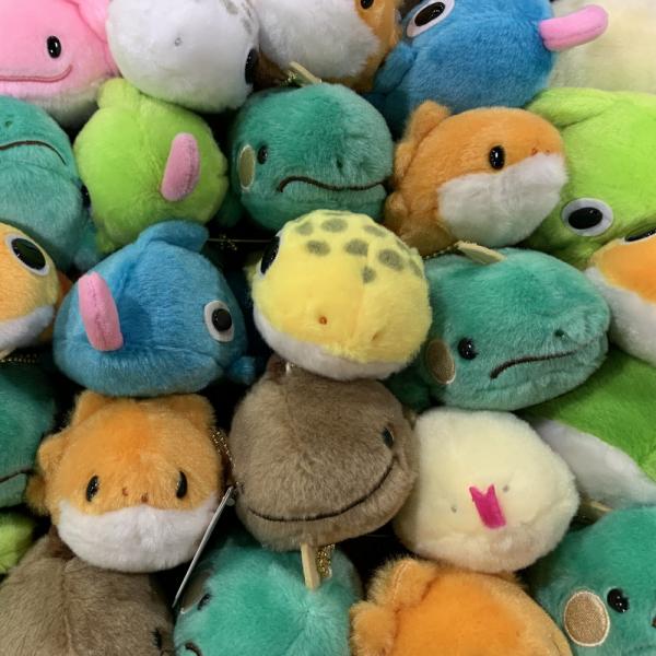 Hachu Nui Plush Berzno Frog Green picture