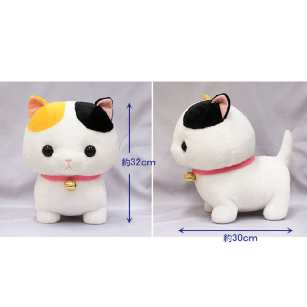 Chinmari Munchkin Cat Big Plush "Goldfish" picture