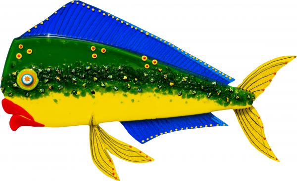 Bull Dolphin - Mahi Mahi - Large picture