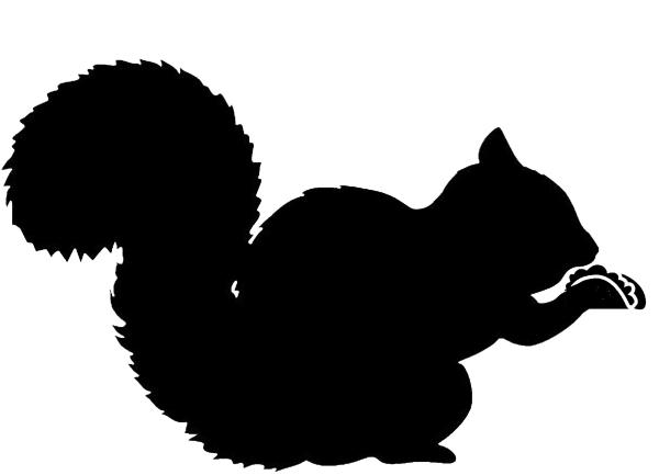 Squirrel Tacos