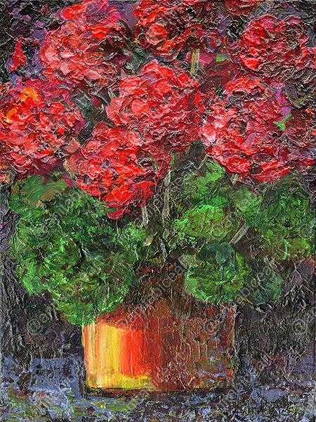 "Red Geraniums" picture