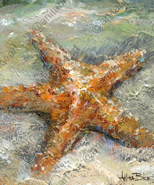 "Stan the Starfish" picture