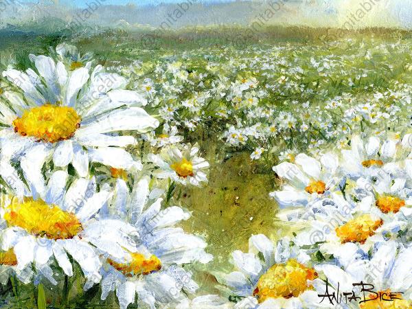 "Daisies Forever" picture