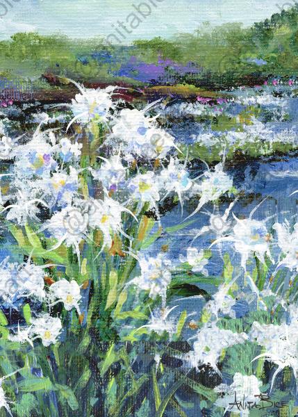 "Cahaba Lillies" picture