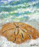 "Sandy the Sand Dollar"