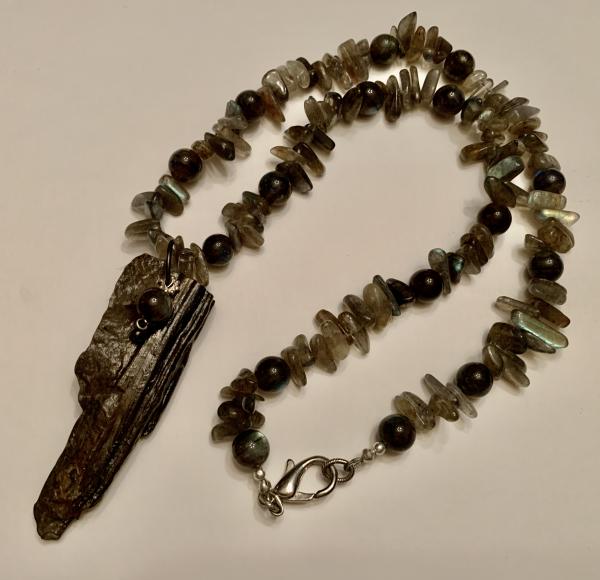 Alabama Fossil necklace picture