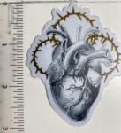 Anatomical Heart sticker
