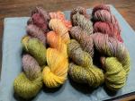 Shenandoah Colorway - Autumn Bliss