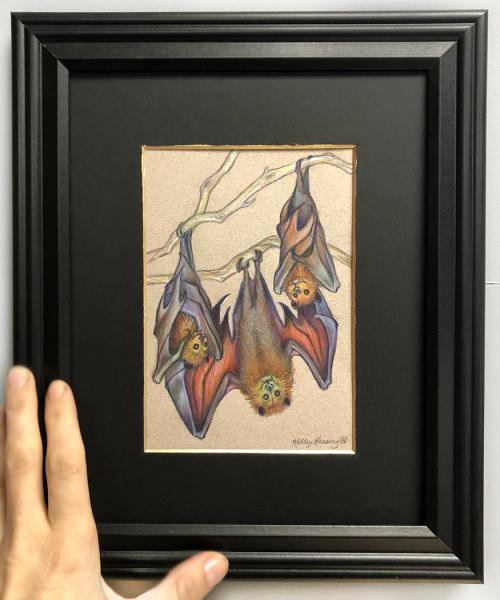 “Hang In There" Fruit Bats #1, original color pencils, 4.5x6.5 picture