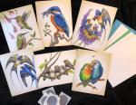 Note Cards, Birds 4.5 x 5.5