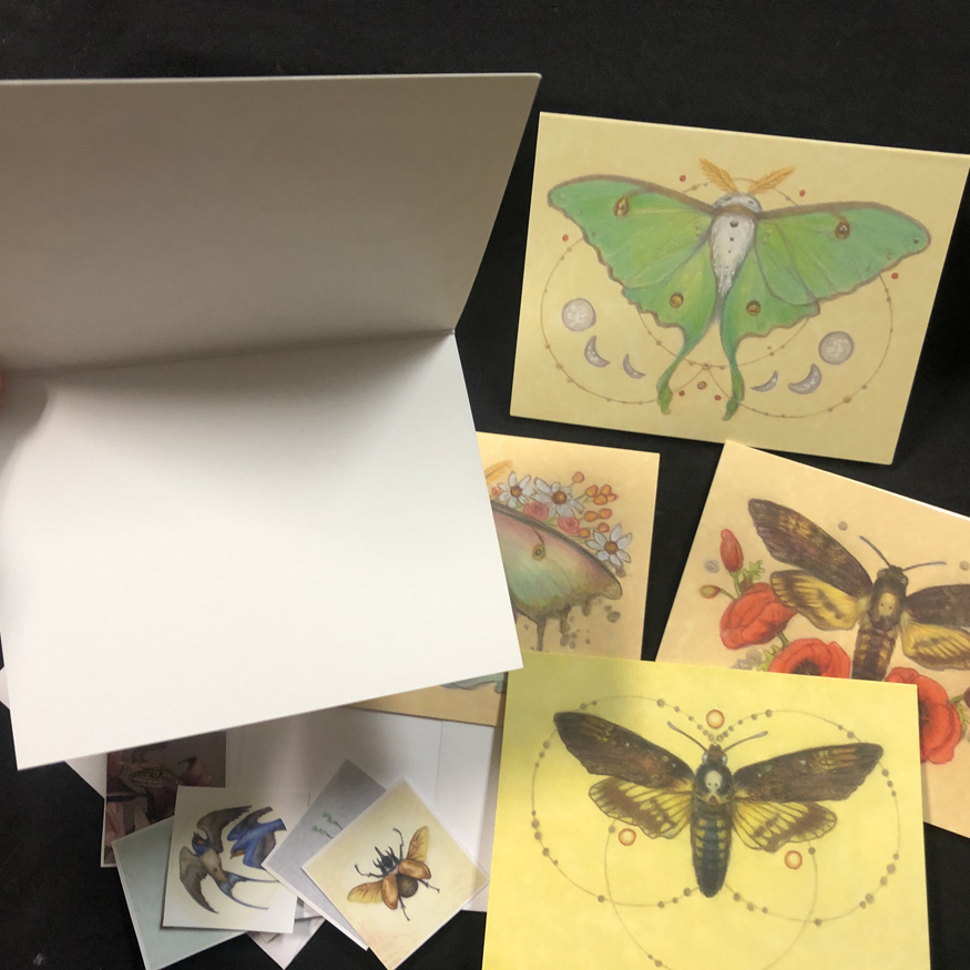 Embelished Moths 5 blank cards picture