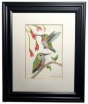 "Hummingbirds", Small Original 5 x 7 Color Pencil Art