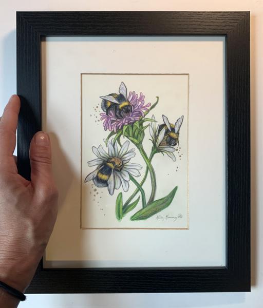 "Bumblebees & Daisies", Small Original 5 x 7 Color Pencil Art picture