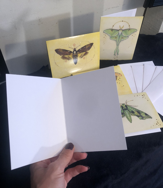 Note Cards, Nature Moths 4.5 x 5.5 picture