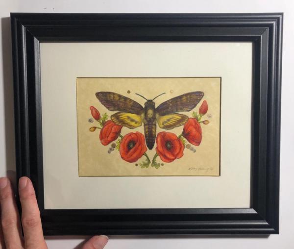"Death's Head Poppy Moth", original art