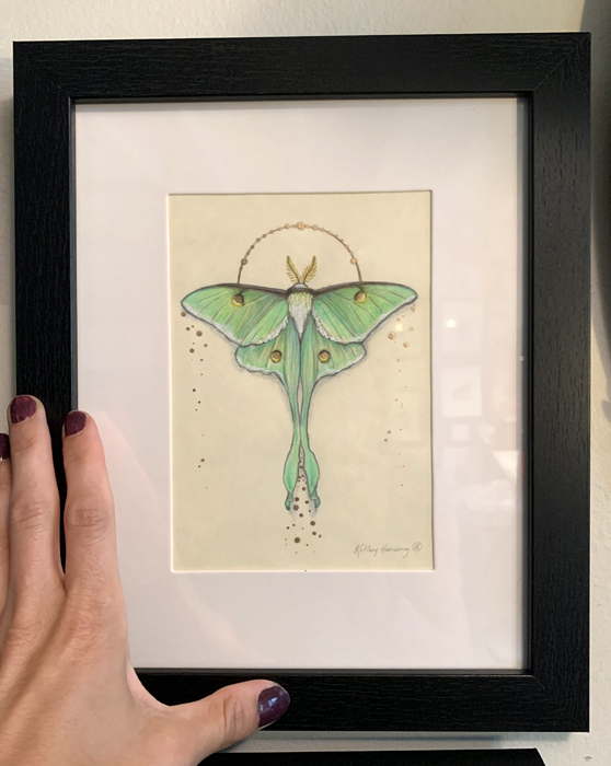 "Luna Moth", Small Original 5 x 7 Color Pencil Art