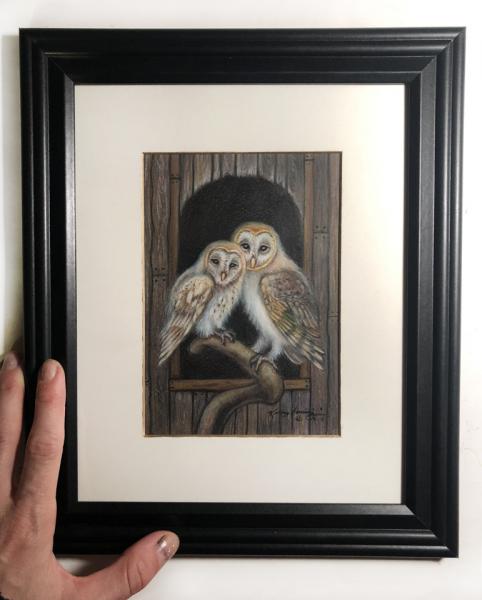 "Barn Owls", Small Original 5 x 7 Color Pencil Art