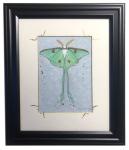 Luna Moth Sparkles, #8, original 5x7 art, plus mat with frame