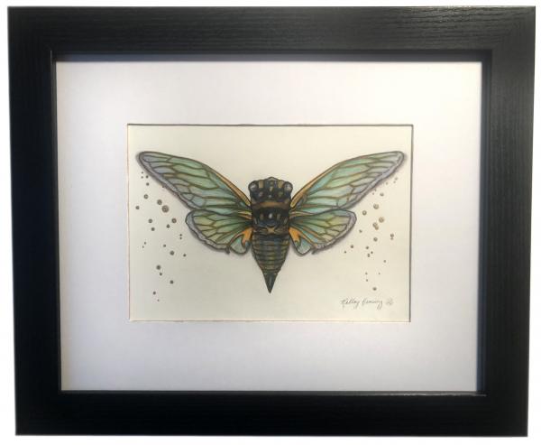 "Cherrynose Cicada", Small Original 7 x 5 Color Pencil Art