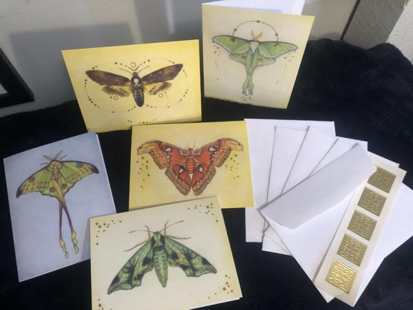 Note Cards, Nature Moths 4.5 x 5.5 picture