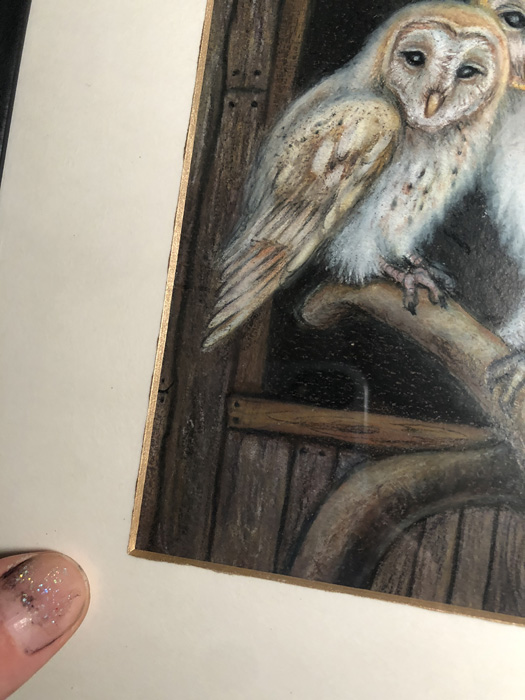 "Barn Owls", Small Original 5 x 7 Color Pencil Art picture