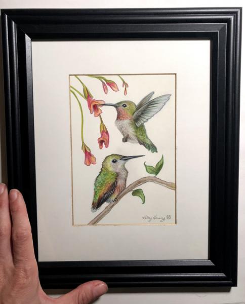 "Hummingbirds", Small Original 5 x 7 Color Pencil Art picture