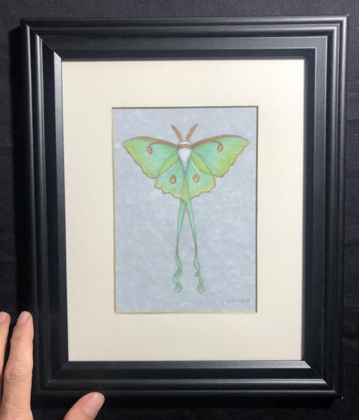 Luna Moth #7, original 5x7 art, plus mat with frame picture