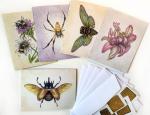 Note Cards, Unique Insects with gold accents 4.5 x 5.5