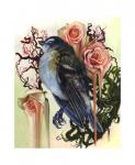 "RoseBird"  Print 8 x 10