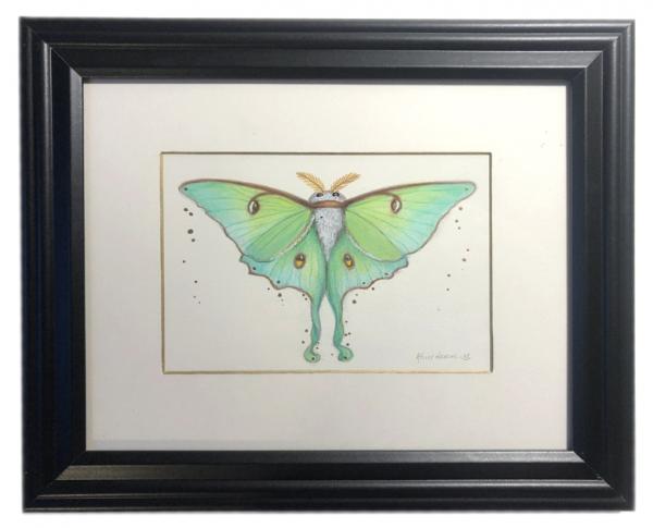 Luna Moth with gold eyes, #5, original 5x7 art, plus mat with frame picture