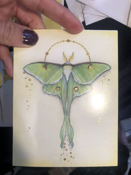Note Cards, Nature Moths 4.5 x 5.5 picture