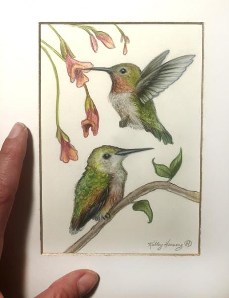 "Hummingbirds", Small Original 5 x 7 Color Pencil Art picture