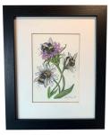 "Bumblebees & Daisies", Small Original 5 x 7 Color Pencil Art
