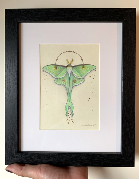 "Luna Moth", Small Original 5 x 7 Color Pencil Art picture