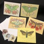 Embelished Moths 5 blank cards