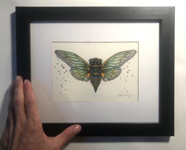 "Cherrynose Cicada", Small Original 7 x 5 Color Pencil Art picture