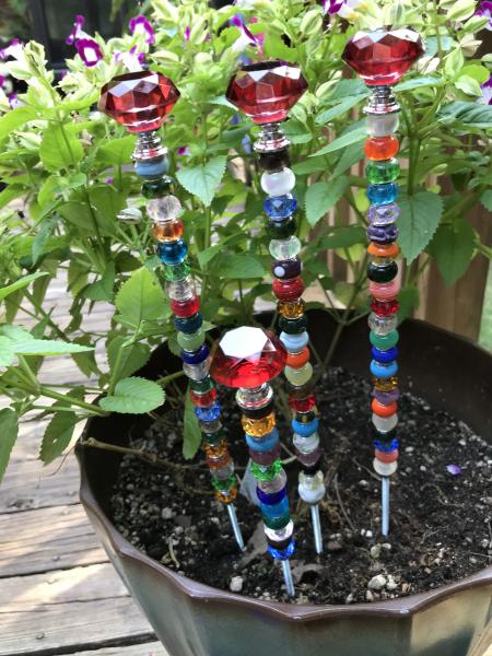 Garden Pot Bling picture