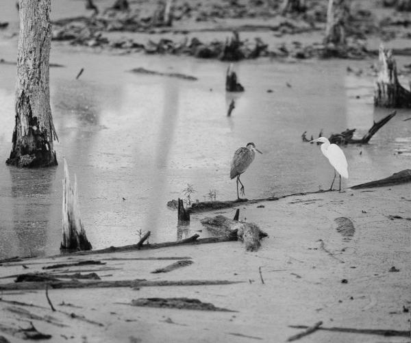 Meeting on the Water, Huntsville, AL