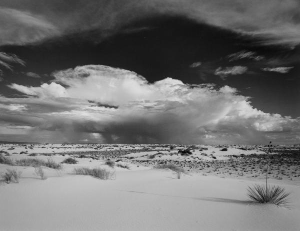 White Sands #5 picture