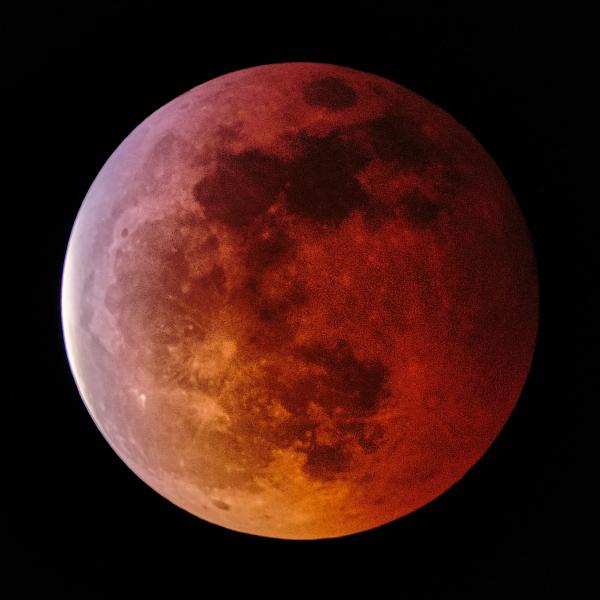 Totality #5, 2019 Lunar Eclipse picture