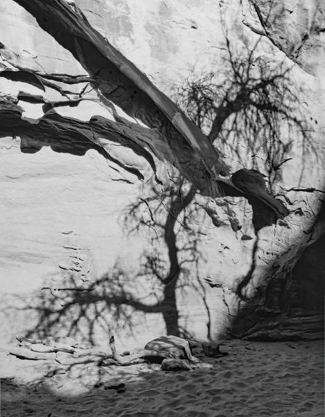 Plato's Tree, Arches NP, UT picture